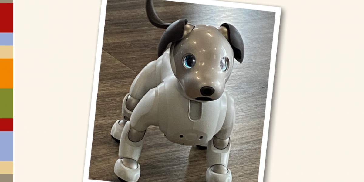 Roboter-Hund „Aibo“ zu Gast in der GFO Tagespflege Maria-Theresia Attendorn